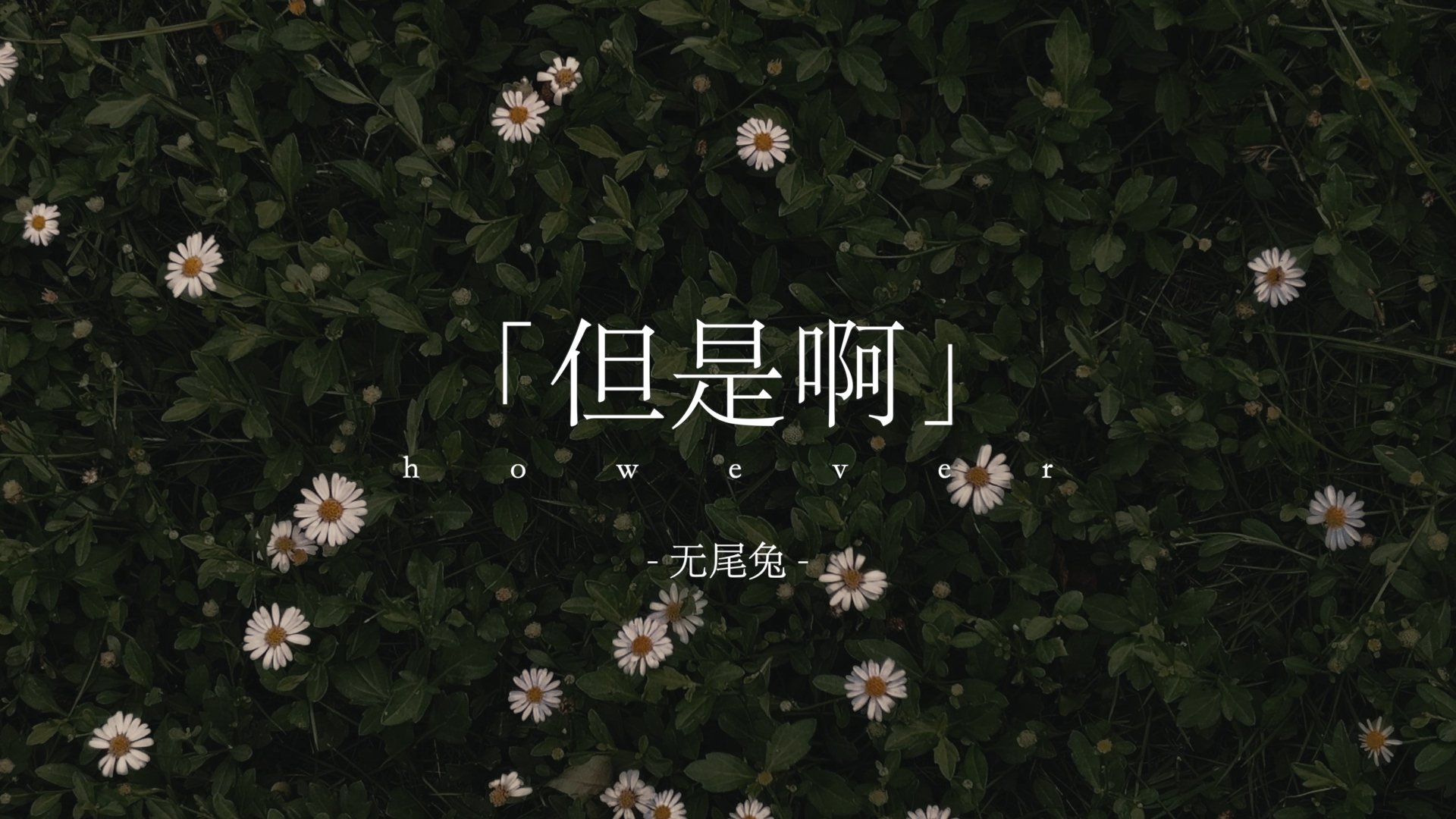 当看完你一路忍着苦涩咽下的心酸和泪才发现你也才十几岁时：