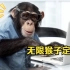 【龙渊】猴子写出莎士比亚著作？小游戏探索“无限猴子定理”