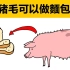 【科普简单说】猪毛可以做面包？