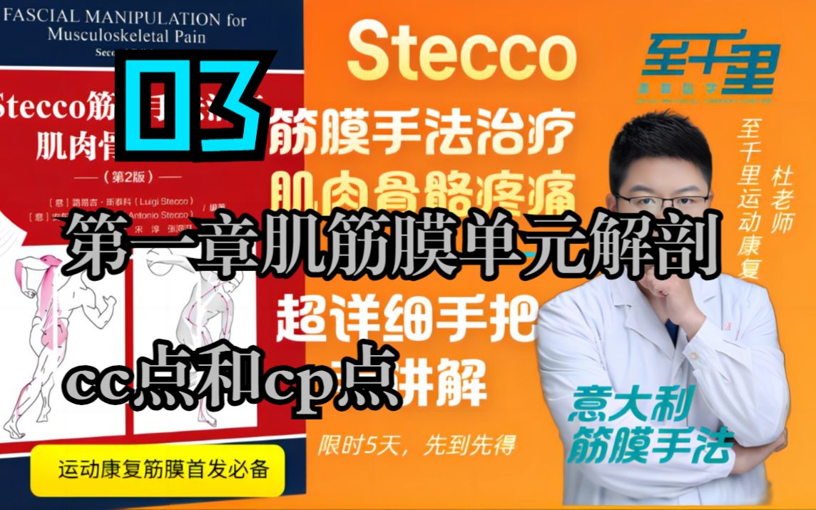 003【Stecco筋膜手法】第一章肌筋膜单元解剖｜cc点和cp点