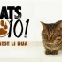 【Cat 101】外国人是怎么评价中国狸花猫的（自制中字） || Frank Van der Horst【斑豆搬运】