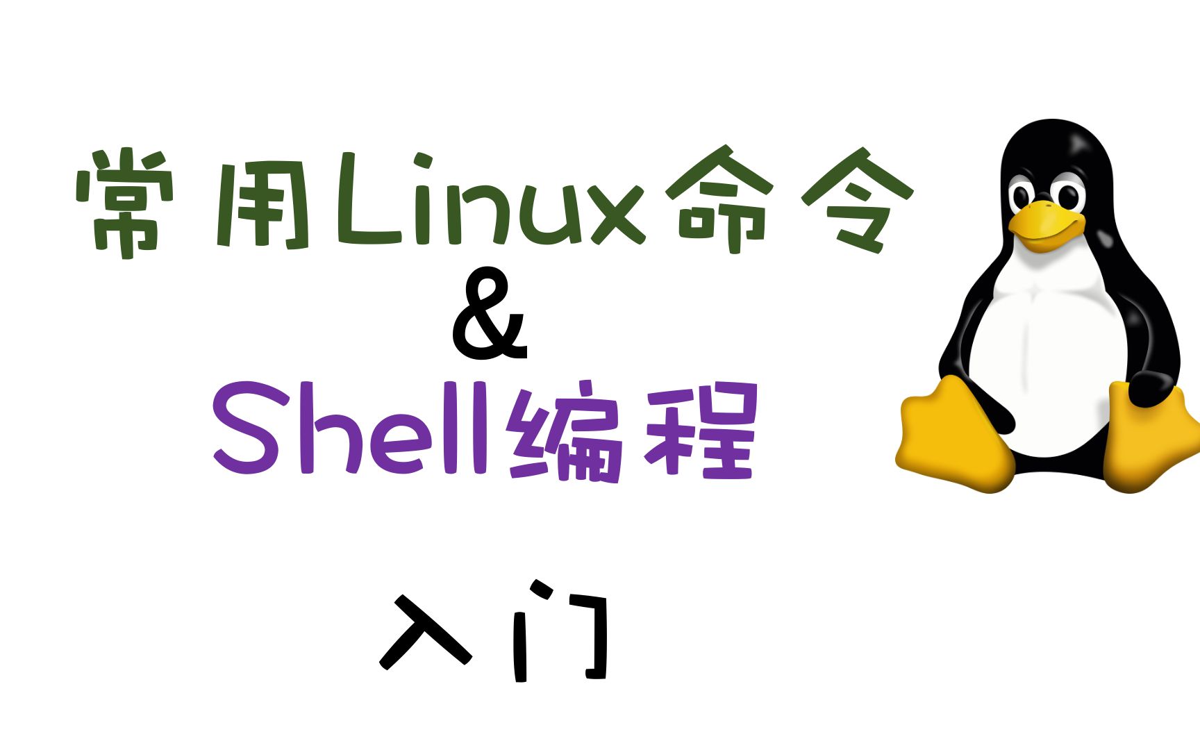 常用的Linux命令介绍：13个基本命令和Shell脚本编程