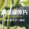 农产品宣传片案例｜大家喜欢吃贝贝南瓜吗