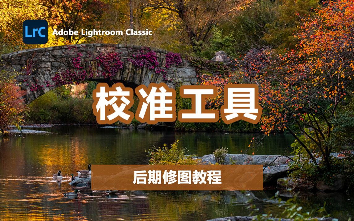【Lightroom教程】校准是最没用的工具？其实我们都误解它了，色相的神奇效果