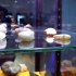参观新疆历代和阗玉博物馆，第一次见超大羊脂白玉籽料，价格不敢想
