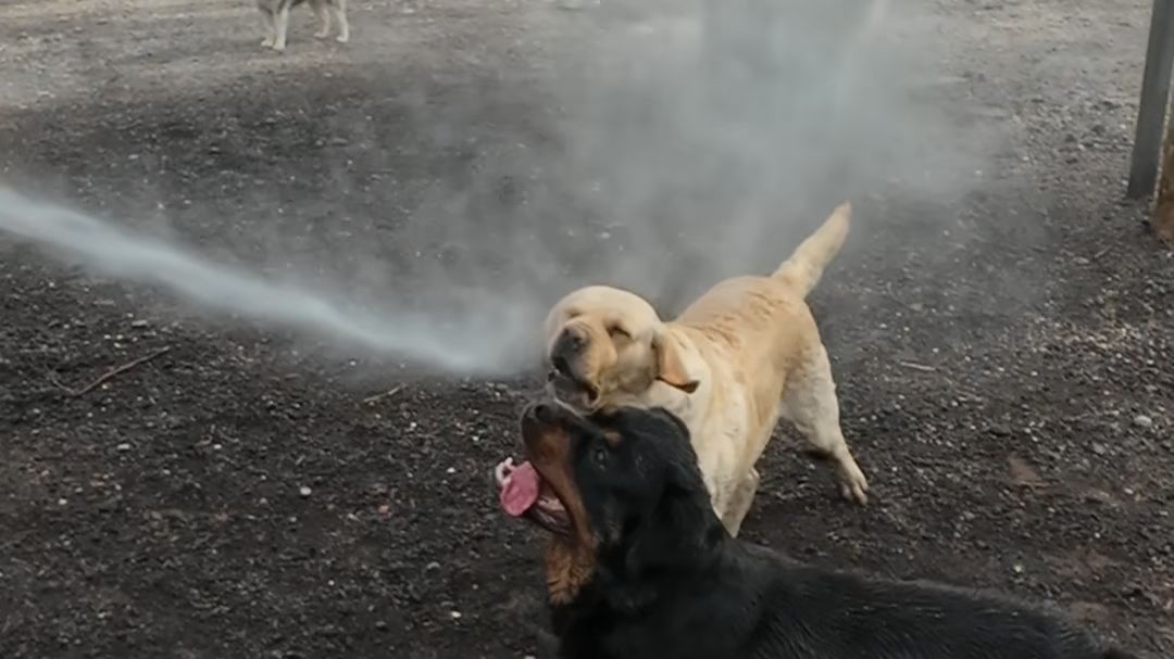 伟大的发现往往就在一瞬间，今天过后请叫我“天才”