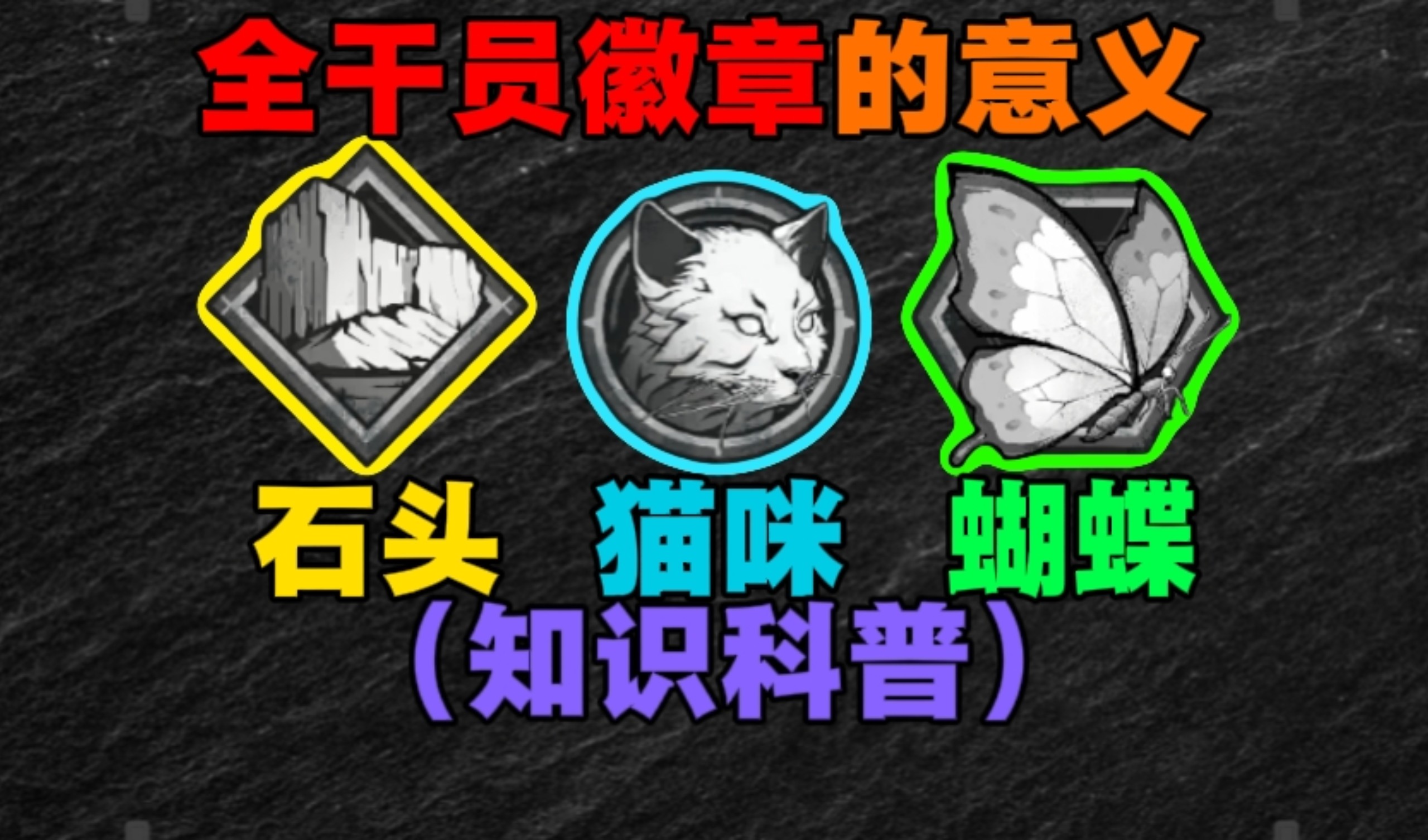 颜心做的cat