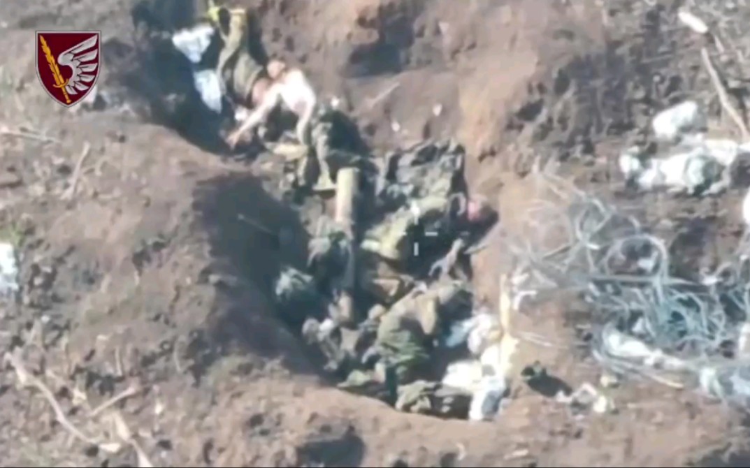 在视频中你可以看到一整条战壕的死人，第79空中突击旅伞兵每天都会消灭在乌克兰神圣土地上迷路的占领者。战壕中的此类墓地并不少见，因为栗色贝雷帽起作用了。