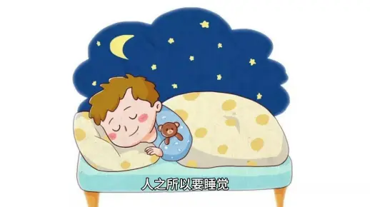 人为啥要睡觉？