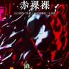 郑钧北京《赤裸裸》，太“燥”了全场大合唱“我的爱赤裸裸