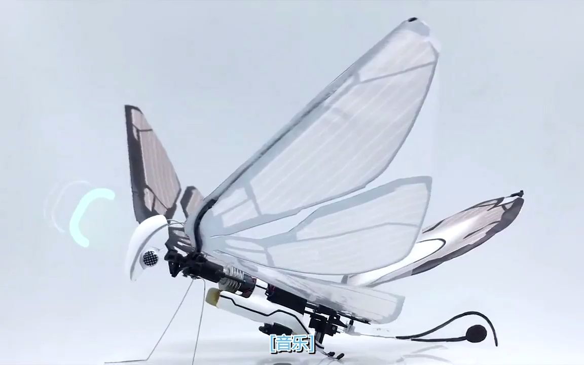 飞行机器人蝴蝶