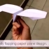 扑翼纸飞机能扑动翅膀的纸飞机（马来西亚chee YieJian）