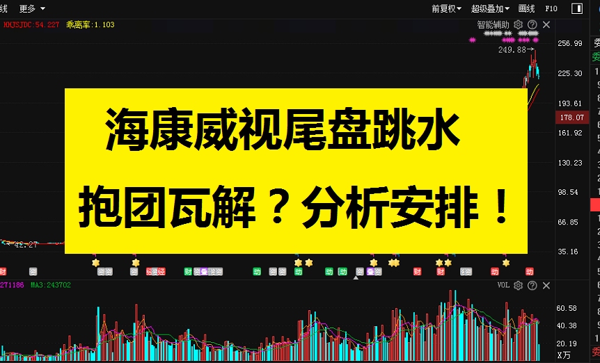 2月3号海康威视尾盘跳水分析,股民们被砸蒙了:抱团瓦解了?哔哩哔哩bilibili