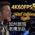 [老鹰乐队]Eagles-Hotel California(加州旅馆)(无损音质4K60MV)[中英字幕]DTS-HD5