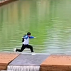 上学抄近道的后果，不能错一步