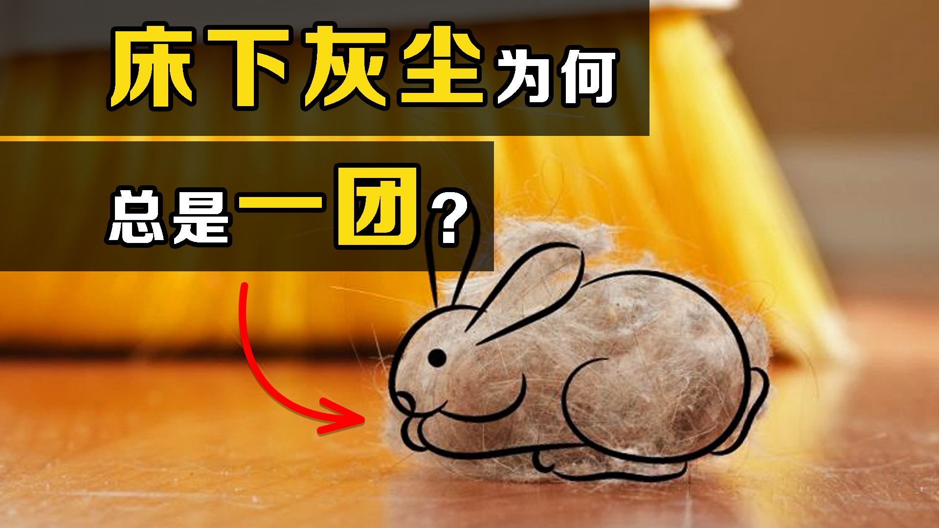 “尘兔”是什么？床底下的陈年老灰，为什么总会变成毛团？
