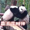 3.15霸王花把叶子妹妹追得满院子逃跑，谭爷爷近身给花花检查身体