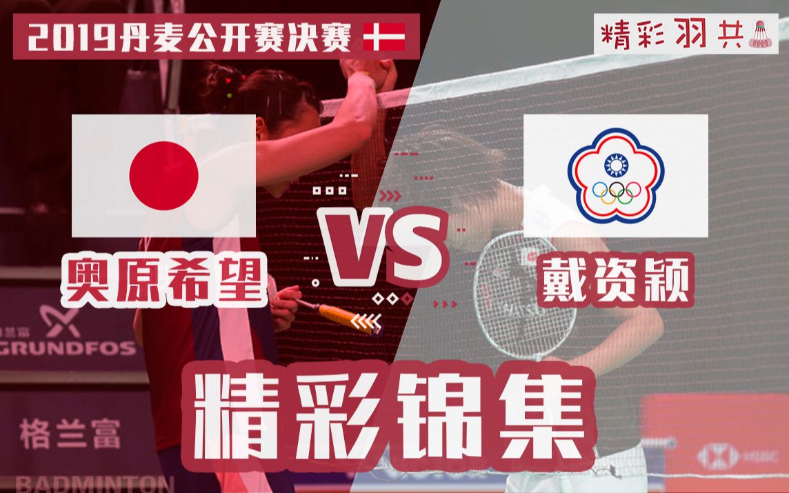 【精彩锦集】戴资颖 vs 奥原希望 | 2019丹麦羽毛球公开赛女单决赛哔哩哔哩bilibili