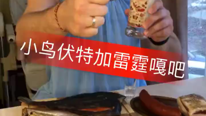小鸟伏特加雷霆嘎巴毛子版本