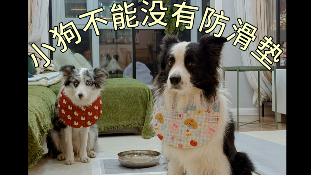 我好像选到了小狗的本命防滑垫