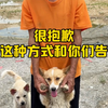 “离开”是两个很沉重的字，却也是我最近思考了很久的事，我深知靠爱发电的救助从来都不会长久，所以一直以来都想以商养善，只是这条路并没有那么美好，或许是我不够努力吧