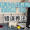 新手小白养狗全攻略（8）千万不要给刚到家的幼犬选一套豪华版的别墅