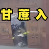 （搂着甘蔗坐着电动车，突然就被大门拦截了。）20251229期国内交通事故视频合集