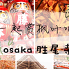 和我一起赏枫叶吧 亲子短途游 大阪胜尾寺 吃oden 抓住秋天的尾巴