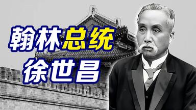 最会做官的北洋总统：徐世昌【民国小史20】