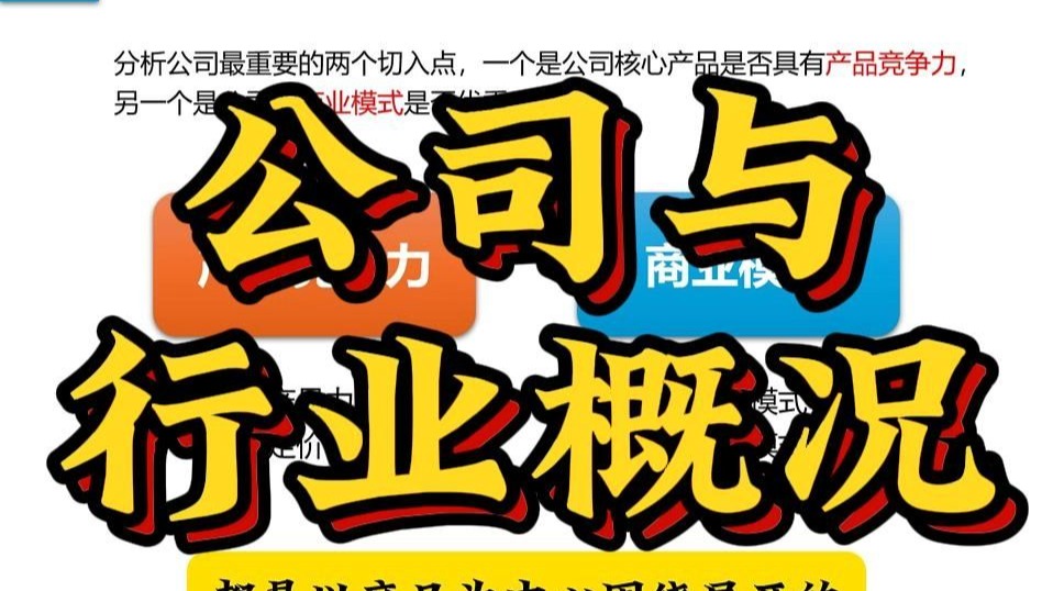 公司与行业概况