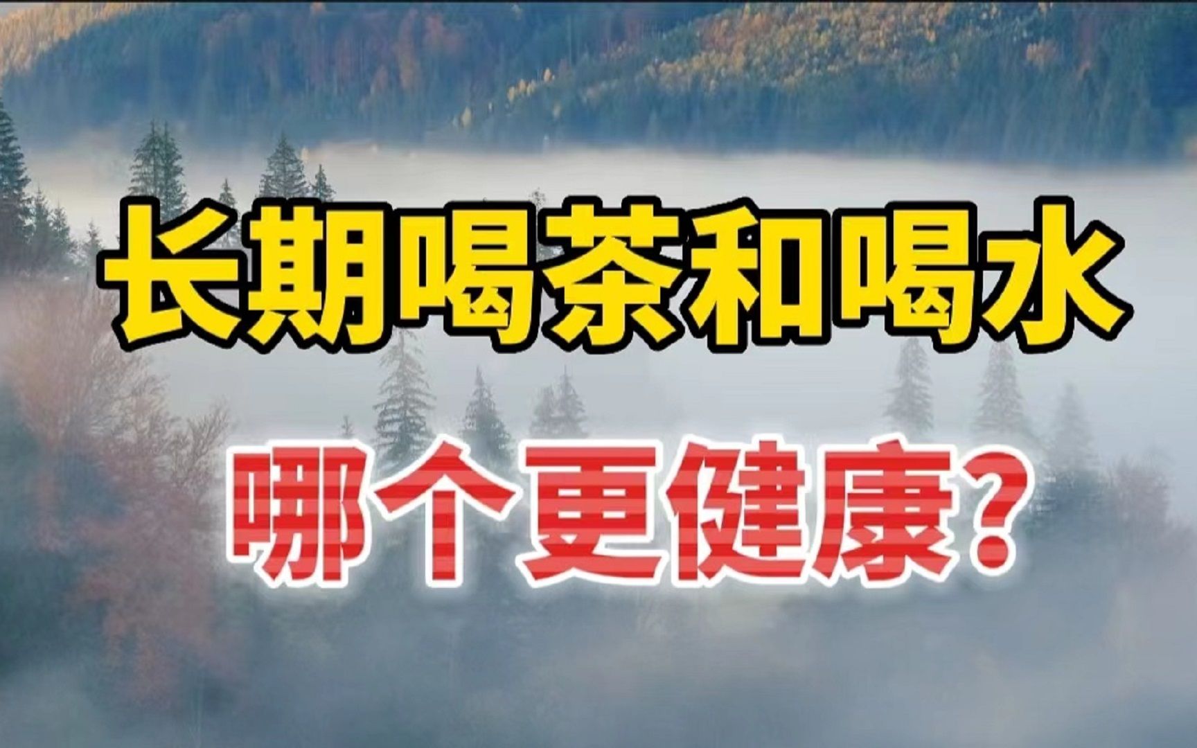 长期喝茶和喝水,哪个更健康?听听专家的说法哔哩哔哩bilibili