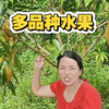 百果仙妃汇聚热带珍稀水果#优质水果 #优质农产品 #釆摘园 #现摘现发