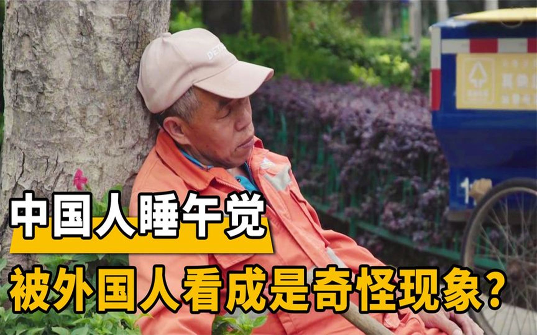 中国人睡午觉，被老外看成是“迷惑行为”？听听各国网友怎么说