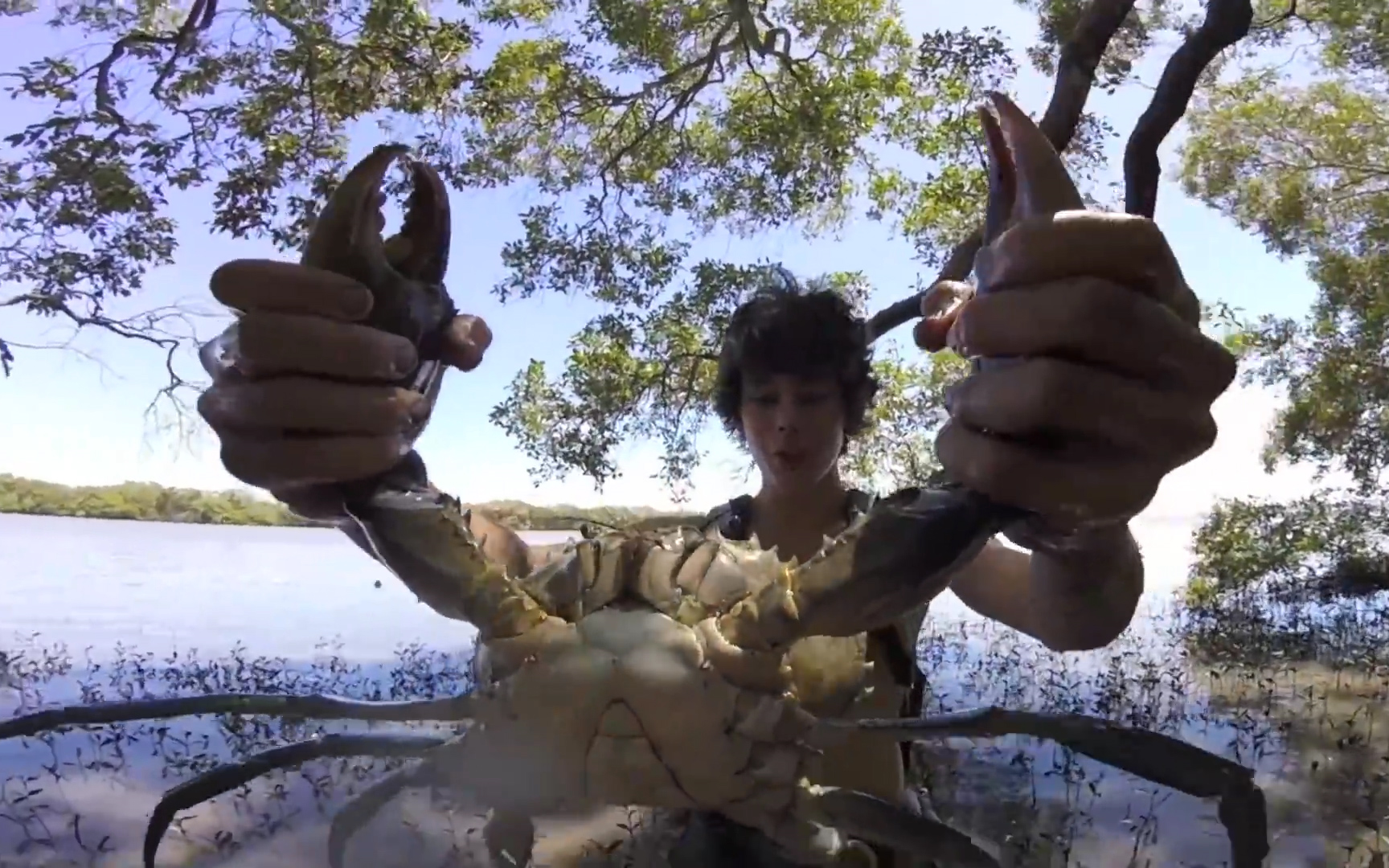 好看的野外生存纪录片