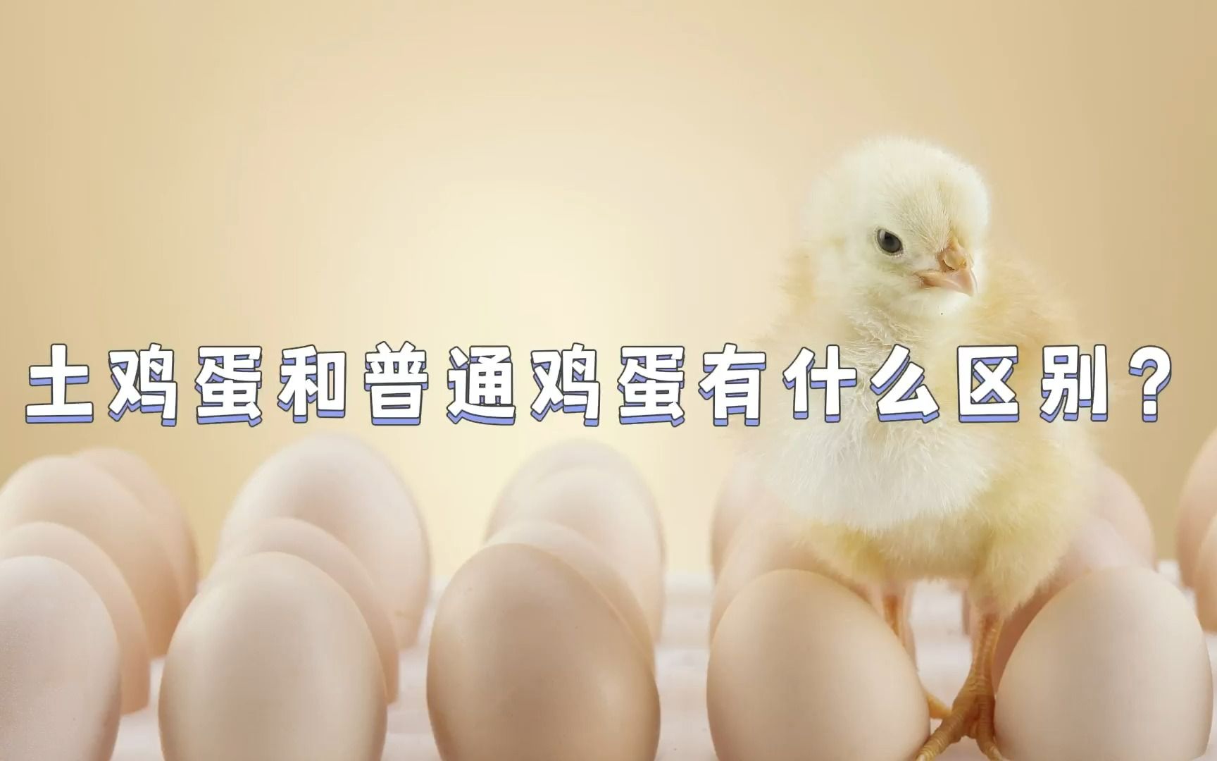 土鸡蛋和普通鸡蛋有什么区别？