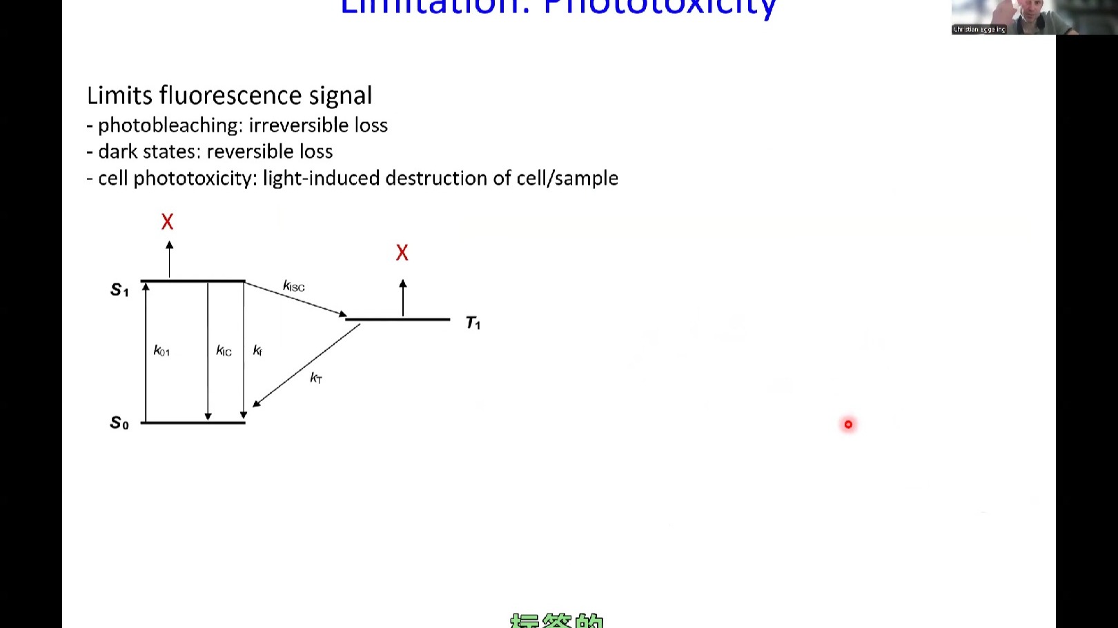 7_microscopySoSe2025_fluorescence-microscopy_eggeling-video-part2
