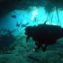 2020 Cancun diving