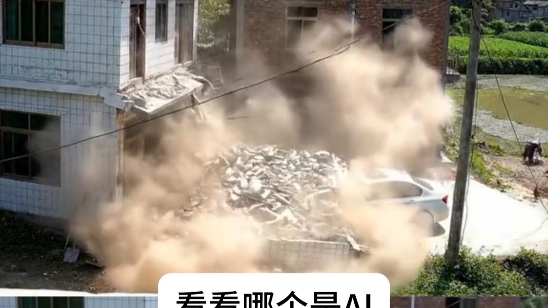 这难道就是功夫鸡？