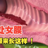 “没有处女膜，你就不完整”，这层膜到底有啥用