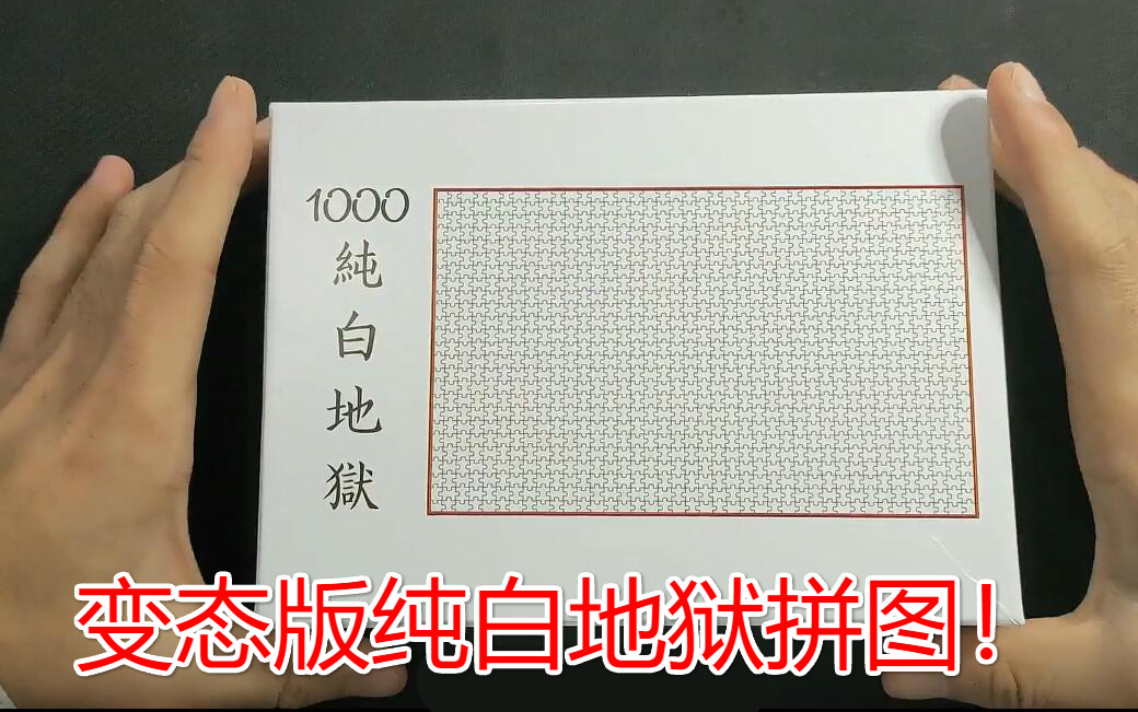 网购买了个变态版纯白地狱拼图足足1000张全部都长一个样我居然拼成功