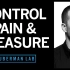 如何控制疼痛 & 快感【Huberman Lab Ep.32】