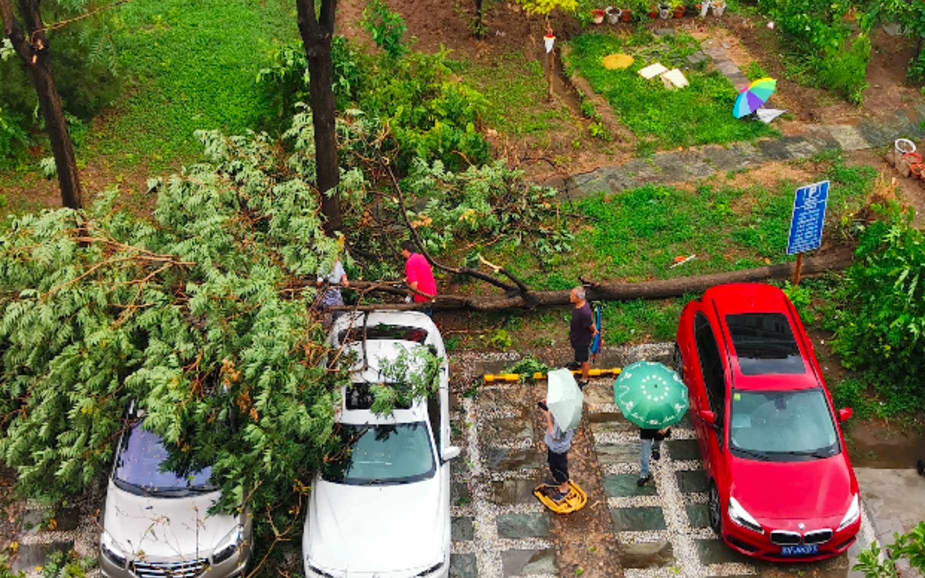 北京暴雨大风来袭，现场井盖被顶起舞，有树木被直接刮倒