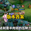 新版本半肉铠才是版本答案 刀刀暴击能抗能打 轻松一打三_王者荣耀