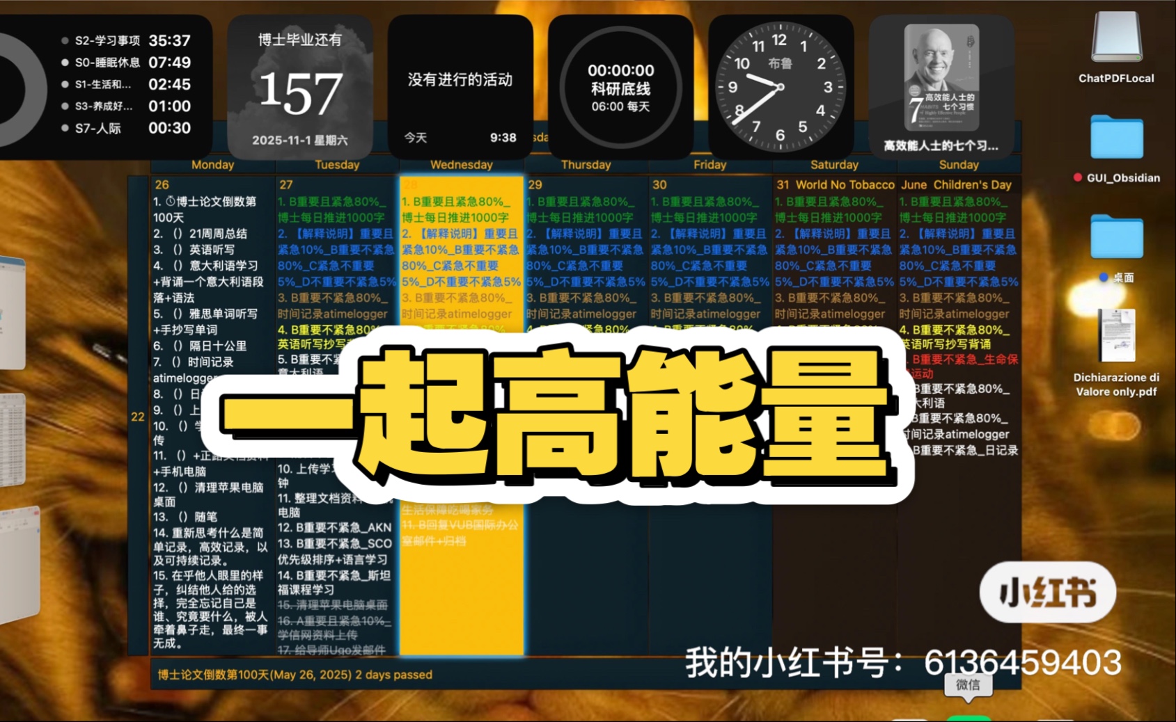 高能量｜在读博士一天 20250627比利时