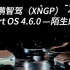 【小鹏智驾】Xmart OS 4.6.0——陌生的小P