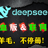 Deepseek R1满血版和联网版，目前最耐薅的两个渠道，第二个堪称神一般存在，强烈推荐