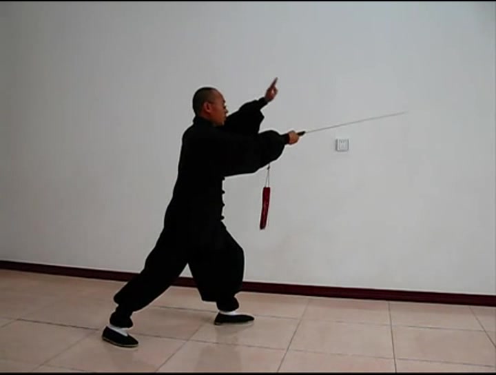 杨式太极剑51式教学
