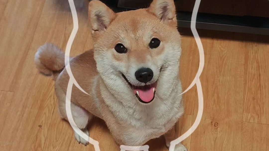 给观众乐一个