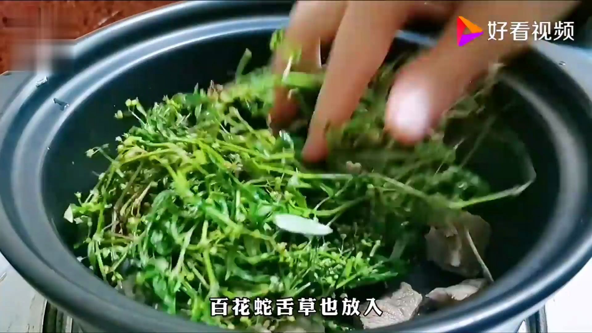 农村野草白花蛇舌草煲汤,清热消炎,治疗白斑的功效