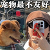 在宠物最不友好的城市里，聚集着最友好的宠物和人